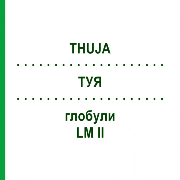 ТУЯ (THUJA) LM II глобули 5 г - Гомеопатия DHU