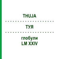ТУЯ (THUJA) LM XXIV глобули 5 г - Гомеопатия DHU