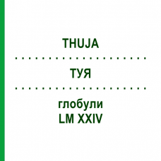 ТУЯ (THUJA) LM XXIV глобули 5 г - Гомеопатия DHU