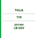 ТУЯ (THUJA) LM XXIV раствор 10 мл - Гомеопатия DHU