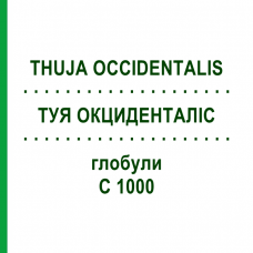 ТУЯ ОКЦИДЕНТАЛІС (THUJA OCCIDENTALIS) C 1000 глобули 0,5 г - Гомеопатія GUDJONS