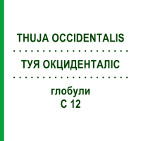 ТУЯ ОКЦИДЕНТАЛИС (THUJA OCCIDENTALIS) C 12 глобули 1,5 г - Гомеопатия GUDJONS