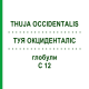ТУЯ ОКЦИДЕНТАЛІС (THUJA OCCIDENTALIS) C 12 глобули 1,5 г - Гомеопатія GUDJONS