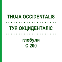 ТУЯ ОКЦИДЕНТАЛИС (THUJA OCCIDENTALIS) C 200 глобули 10 г - Гомеопатия SPAGYRA