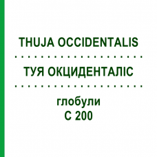 ТУЯ ОКЦИДЕНТАЛИС (THUJA OCCIDENTALIS) C 200 глобули 10 г - Гомеопатия SPAGYRA