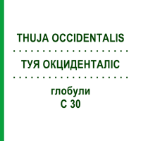 ТУЯ ОКЦИДЕНТАЛІС (THUJA OCCIDENTALIS) C 30 глобули 10 г - Гомеопатія SPAGYRA