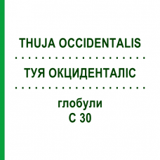 ТУЯ ОКЦИДЕНТАЛИС (THUJA OCCIDENTALIS) C 30 глобули 10 г - Гомеопатия SPAGYRA