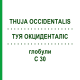 ТУЯ ОКЦИДЕНТАЛИС (THUJA OCCIDENTALIS) C 30 глобули 10 г - Гомеопатия SPAGYRA