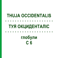 ТУЯ ОКЦИДЕНТАЛИС (THUJA OCCIDENTALIS) C 6 глобули 10 г - Гомеопатия SPAGYRA