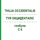 ТУЯ ОКЦИДЕНТАЛИС (THUJA OCCIDENTALIS) C 6 глобули 10 г - Гомеопатия SPAGYRA