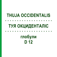 ТУЯ ОКЦИДЕНТАЛИС (THUJA OCCIDENTALIS) D 12 глобули 10 г - Гомеопатия SPAGYRA