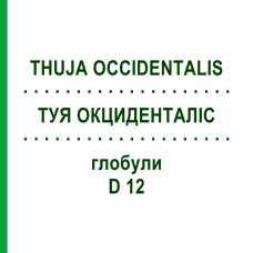 ТУЯ ОКЦИДЕНТАЛИС (THUJA OCCIDENTALIS) D 12 глобули 10 г - Гомеопатия SPAGYRA