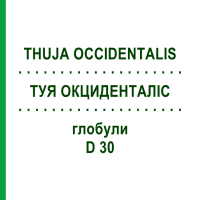 ТУЯ ОКЦИДЕНТАЛИС (THUJA OCCIDENTALIS) D 30 глобули 10 г - Гомеопатия SPAGYRA