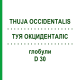 ТУЯ ОКЦИДЕНТАЛИС (THUJA OCCIDENTALIS) D 30 глобули 10 г - Гомеопатия SPAGYRA