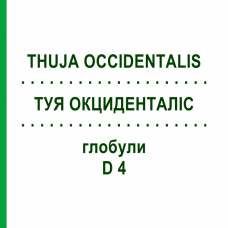 ТУЯ ОКЦИДЕНТАЛИС (THUJA OCCIDENTALIS) D 4 глобули 10 г - Гомеопатия SPAGYRA