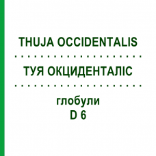 ТУЯ ОКЦИДЕНТАЛИС (THUJA OCCIDENTALIS) D 6 глобули 10 г - Гомеопатия SPAGYRA
