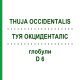 ТУЯ ОКЦИДЕНТАЛИС (THUJA OCCIDENTALIS) D 6 глобули 10 г - Гомеопатия SPAGYRA