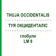 ТУЯ ОКЦИДЕНТАЛИС (THUJA OCCIDENTALIS) LM 6 глобули 10 г - Гомеопатия SPAGYRA