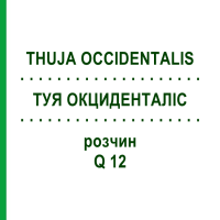ТУЯ ОКЦИДЕНТАЛИС (THUJA OCCIDENTALIS) Q 12 раствор 15 мл - Гомеопатия GUDJONS