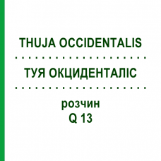 ТУЯ ОКЦИДЕНТАЛІС (THUJA OCCIDENTALIS) Q 13 розчин 15 мл - Гомеопатія GUDJONS