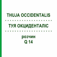 ТУЯ ОКЦИДЕНТАЛІС (THUJA OCCIDENTALIS) Q 14 розчин 15 мл - Гомеопатія GUDJONS