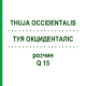 ТУЯ ОКЦИДЕНТАЛІС (THUJA OCCIDENTALIS) Q 15 розчин 15 мл - Гомеопатія GUDJONS