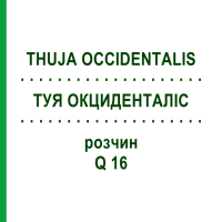 ТУЯ ОКЦИДЕНТАЛІС (THUJA OCCIDENTALIS) Q 16 розчин 15 мл - Гомеопатія GUDJONS