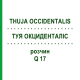 ТУЯ ОКЦИДЕНТАЛІС (THUJA OCCIDENTALIS) Q 17 розчин 15 мл - Гомеопатія GUDJONS