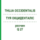 ТУЯ ОКЦИДЕНТАЛІС (THUJA OCCIDENTALIS) Q 27 розчин 15 мл - Гомеопатія GUDJONS