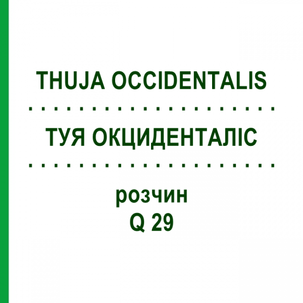 ТУЯ ОКЦИДЕНТАЛІС (THUJA OCCIDENTALIS) Q 29 розчин 15 мл - Гомеопатія GUDJONS