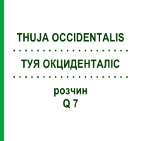 ТУЯ ОКЦИДЕНТАЛІС (THUJA OCCIDENTALIS) Q 7 розчин 15 мл - Гомеопатія GUDJONS