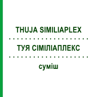 ТУЯ СІМІЛІАПЛЕКС (THUJA SIMILIAPLEX) суміш 50 мл - Гомеопатія PASCOE
