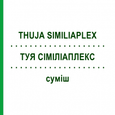 ТУЯ СИМИЛИАПЛЕКС (THUJA SIMILIAPLEX) смесь 50 мл - Гомеопатия PASCOE