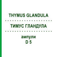 ТИМУС ГЛАНДУЛА (THYMUS GLANDULA) D 5 ампулы 10x1 мл - Гомеопатия WALA HEILMITTEL