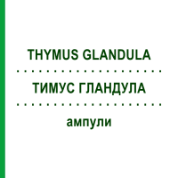 ТИМУС ГЛАНДУЛА (THYMUS GLANDULA) ампулы 10x1 мл - Гомеопатия WALA HEILMITTEL
