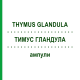 ТИМУС ГЛАНДУЛА (THYMUS GLANDULA) ампулы 10x1 мл - Гомеопатия WALA HEILMITTEL
