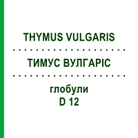 ТИМУС ВУЛГАРИС (THYMUS VULGARIS) D 12 глобули 10 г - Гомеопатия DHU