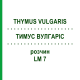 ТИМУС ВУЛГАРИС (THYMUS VULGARIS) LM 7 раствор 10 мл - Гомеопатия ARCANA DR.SEWERIN