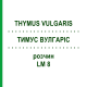 ТИМУС ВУЛГАРИС (THYMUS VULGARIS) LM 8 раствор 10 мл - Гомеопатия ARCANA DR.SEWERIN