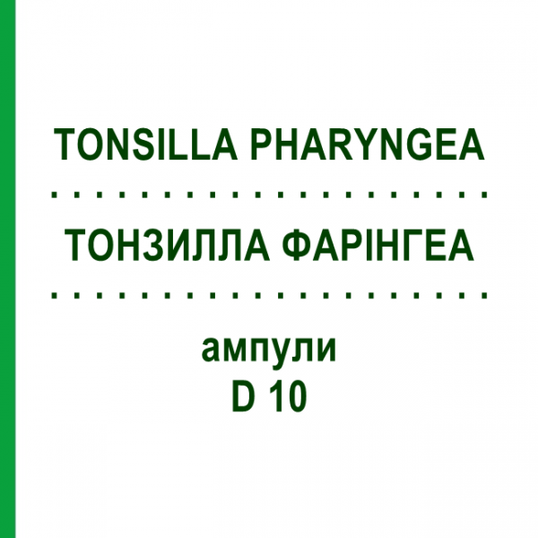 ТОНЗИЛЛА ФАРИНГЕА (TONSILLA PHARYNGEA) D 10 ампулы 10x1 мл - Гомеопатия WALA HEILMITTEL