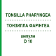 ТОНЗИЛЛА ФАРИНГЕА (TONSILLA PHARYNGEA) D 10 ампулы 10x1 мл - Гомеопатия WALA HEILMITTEL