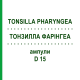ТОНЗИЛЛА ФАРИНГЕА (TONSILLA PHARYNGEA) D 15 ампулы 10x1 мл - Гомеопатия WALA HEILMITTEL