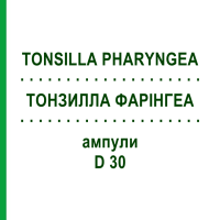 ТОНЗИЛЛА ФАРІНГЕА (TONSILLA PHARYNGEA) D 30 ампули 10x1 мл - Гомеопатія WALA HEILMITTEL