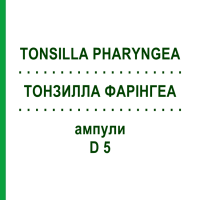 ТОНЗИЛЛА ФАРІНГЕА (TONSILLA PHARYNGEA) D 5 ампули 10x1 мл - Гомеопатія WALA HEILMITTEL
