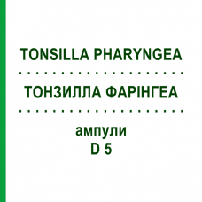 ТОНЗИЛЛА ФАРИНГЕА (TONSILLA PHARYNGEA) D 5 ампулы 10x1 мл - Гомеопатия WALA HEILMITTEL