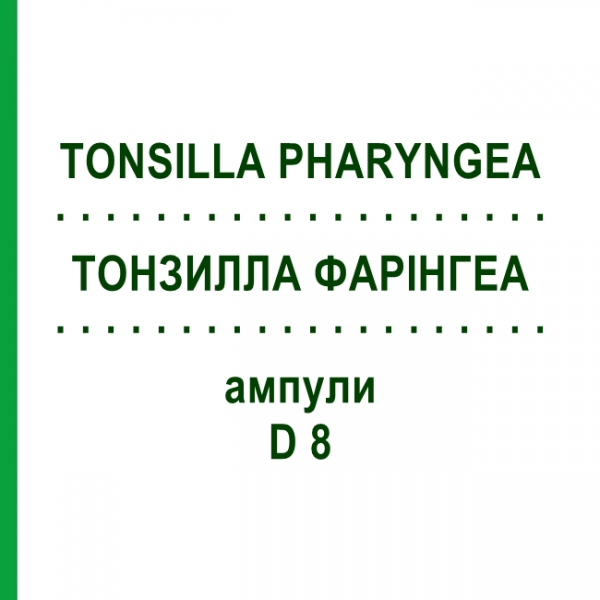 ТОНЗИЛЛА ФАРИНГЕА (TONSILLA PHARYNGEA) D 8 ампулы 10x1 мл - Гомеопатия WALA HEILMITTEL
