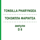 ТОНЗИЛЛА ФАРИНГЕА (TONSILLA PHARYNGEA) D 8 ампулы 10x1 мл - Гомеопатия WALA HEILMITTEL