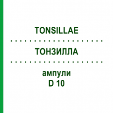 ТОНЗИЛЛА (TONSILLAE) D 10 ампулы 10x1 мл - Гомеопатия WALA HEILMITTEL
