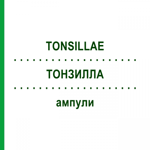 ТОНЗИЛЛА (TONSILLAE) ампулы 10x1 мл - Гомеопатия WALA HEILMITTEL