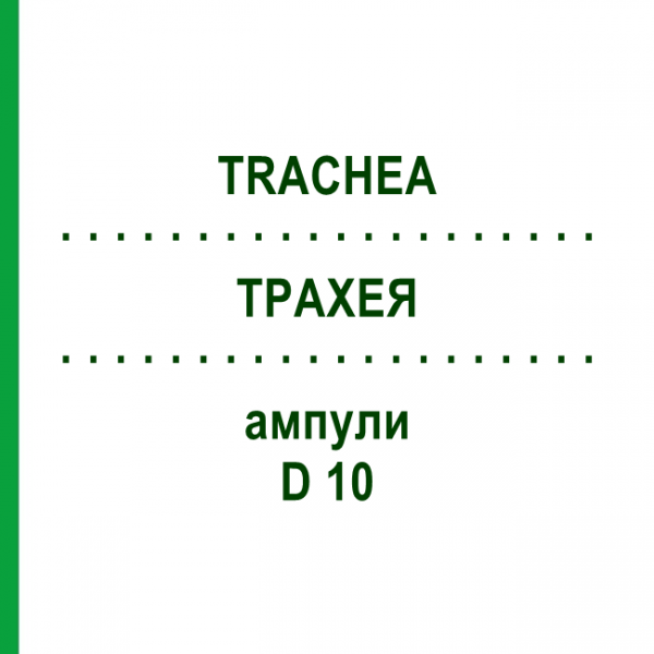 ТРАХЕЯ (TRACHEA) D 10 ампули 10x1 мл - Гомеопатія WALA HEILMITTEL